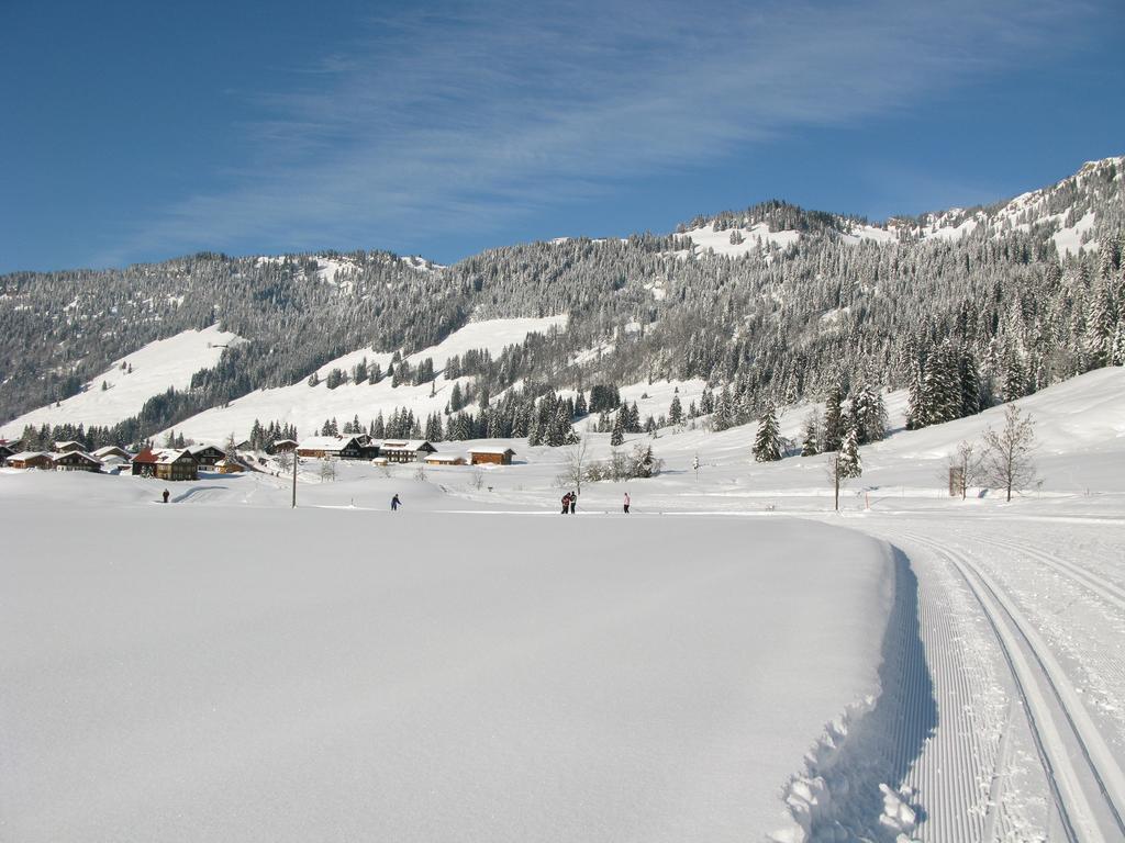 Apartamento Alpenroesle Balderschwang Exterior foto